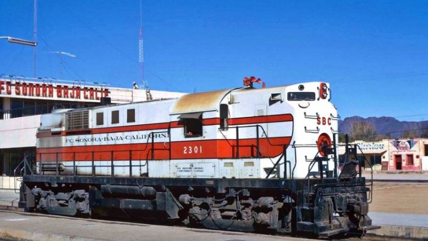 Luz pierde su pierna tras caer del tren en Nogales; oficiales la hallan desconsolada