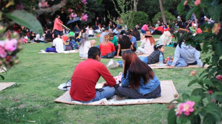 No te lo puedes perder: Asiste al picnic nocturno en el Bosque de Chapultepec; fechas