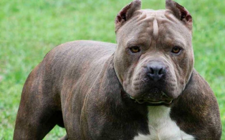 Hombre es hallado sin vida en Nogales