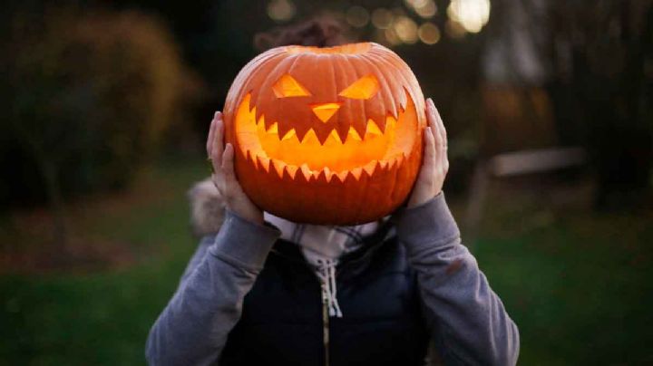 ¿Qué hacer con la calabaza después de Halloween? Así es como puedes aprovechar las sobras