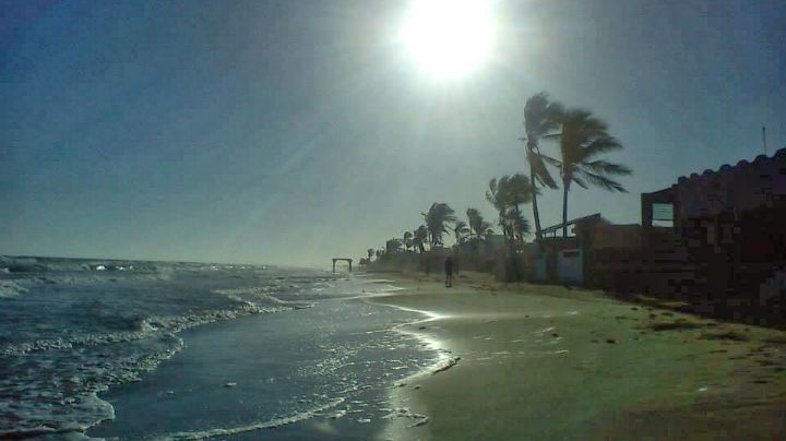 PROFEPA investiga un nuevo caso de peces muertos a orillas de la playa en Huatabampo