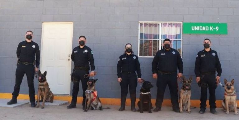 Unidad K9 celebra la jubilación de cuatro caninos en Sonora