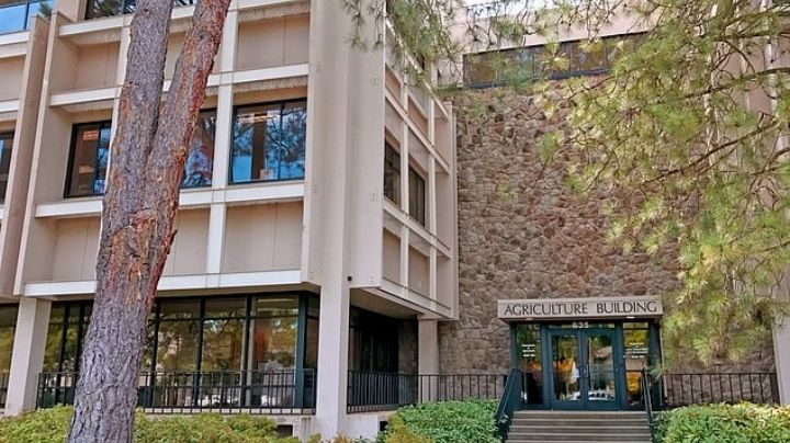 Alerta veterinaria: Enfermedad respiratoria potencialmente mortal afecta a perros