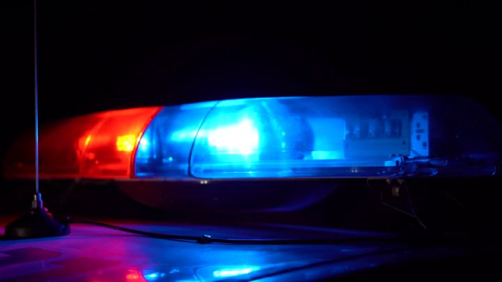 Robo de semillas de frijol en Guasave, Sinaloa: Delincuentes amagan a velador y su esposa