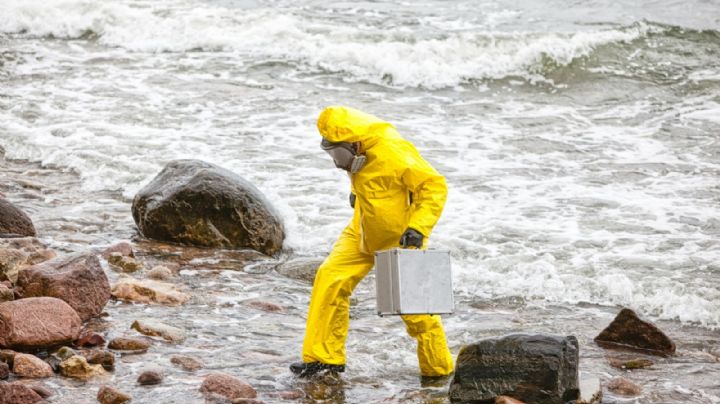 Alerta en el Norte de México: Expertos consideran urgente rescate del Mar de Cortés