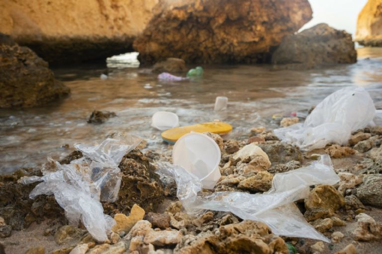 Contaminación en el Mar de Cortés preocupa a expertos. Foto: Internet