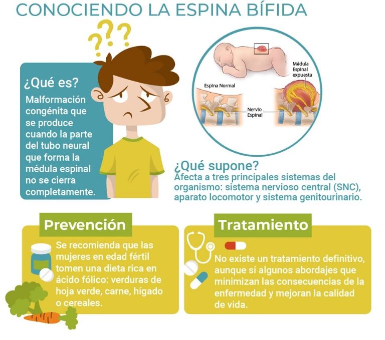 Día Internacional de la Espina Bífida