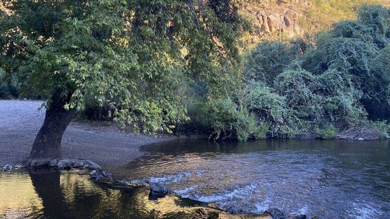 Río Cocóspera será afectado por tren de pasajeros