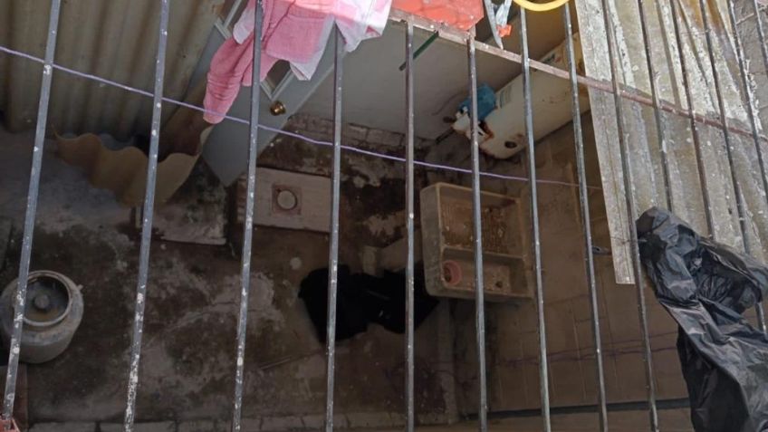 Esa casa no era suya: Detienen a ladrón tras ingresar a robar a domicilio en Tecámac