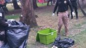 Ya son 20 las víctimas del asesino de perros en el Bosque de Nativitas, en Xochimilco