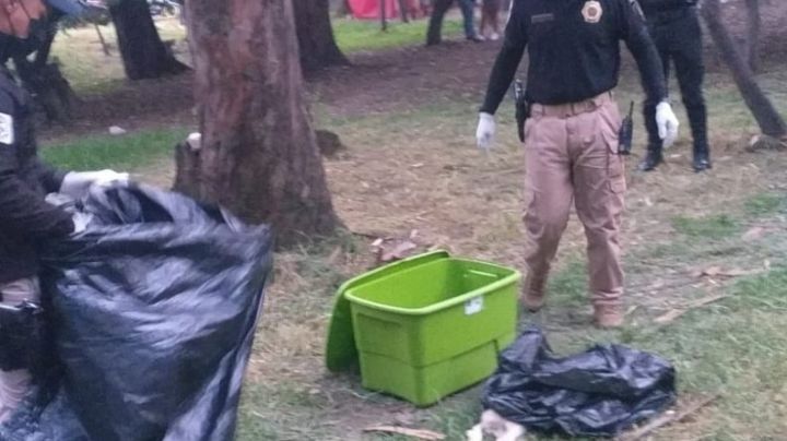 Ya son 20 las víctimas del asesino de perros en el Bosque de Nativitas, en Xochimilco