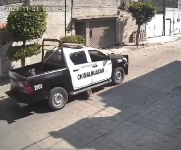 Vecinos piden justicia por perro atropellado por patrulla en Chimalhuacán