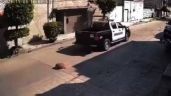 Tras atropellar a perrito en Chimalhuacán, separan de su cargo a policías municipales