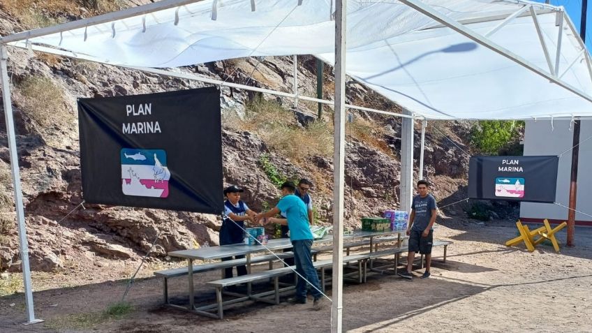 Huracán 'Otis': Crean centro de acopio permanente en Guaymas para damnificados en Guerrero