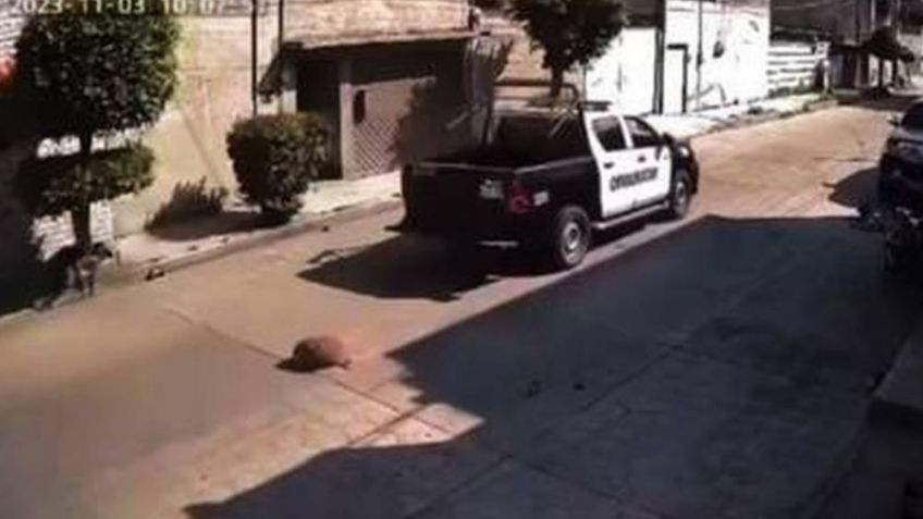 Tras atropellar a perrito en Chimalhuacán, separan de su cargo a policías municipales