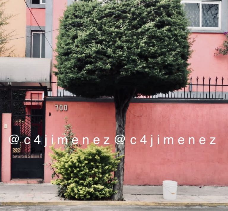 Estudiante del IPN muerta