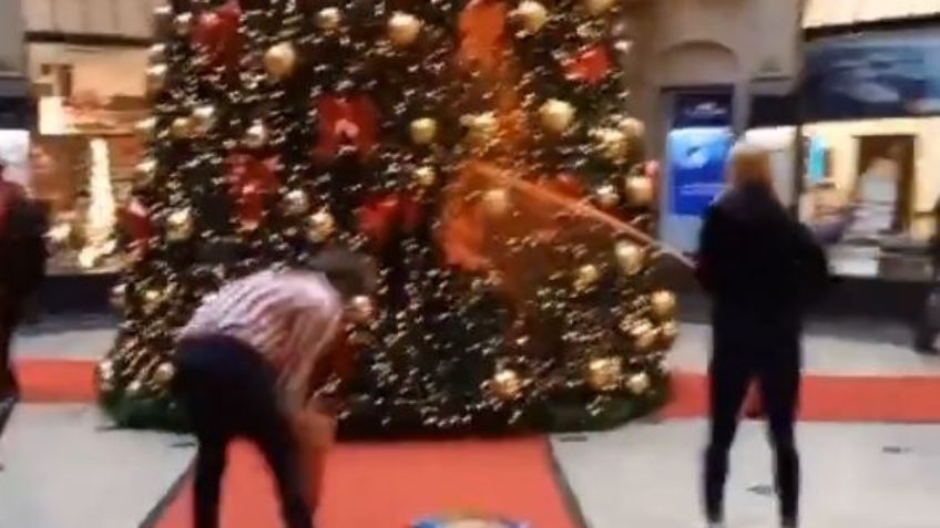 VIDEO: Activistas ambientalistas rocían pintura naranja a Árboles de Navidad en Alemania