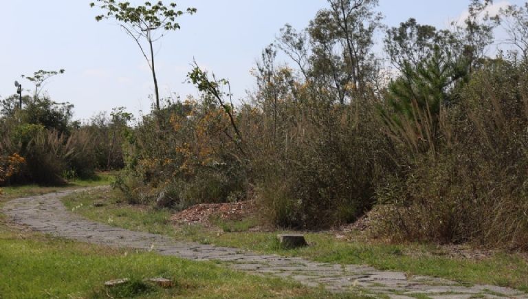 Encuentran el cadáver de un hombre en juegos infantiles del Bosque de Chapultepec; investigan