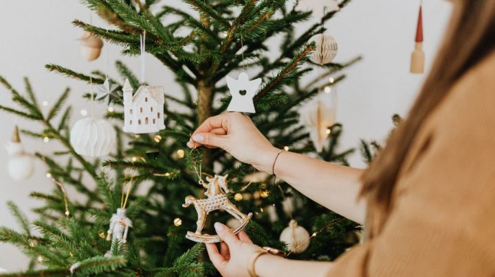 Aquí está la fecha exacta en la que debes quitar tu árbol; no más dudas