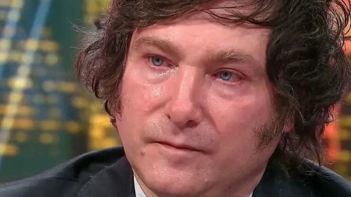 Javier Milei planea hacer una consulta popular para desregular la economía