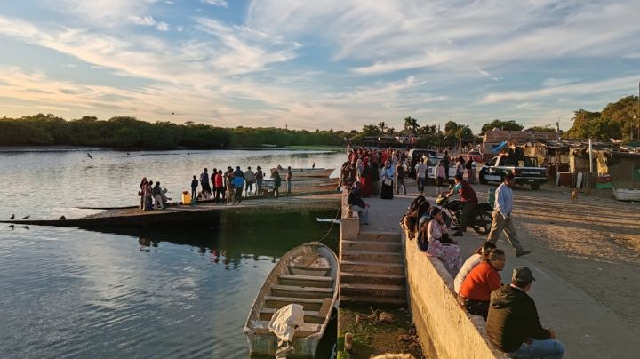 Alerta por ataques de tiburón regresa a las Playas del Sur de Sonora; piden precauciones