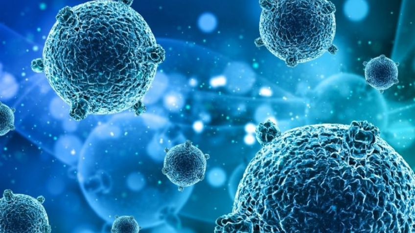 Descubrimiento en Perú: Un virus desconocido genera inquietud global ¿Nueva pandemia?