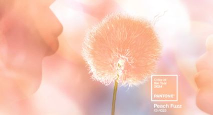 'Peach fuzz': Este es el color tierno y suave que va a reinar en 2024, según Pantone