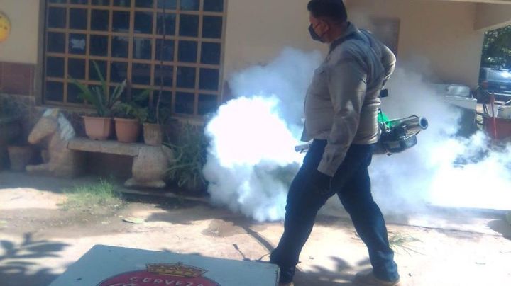 Colonia Constitución en Navojoa pide fumigación contra los moscos