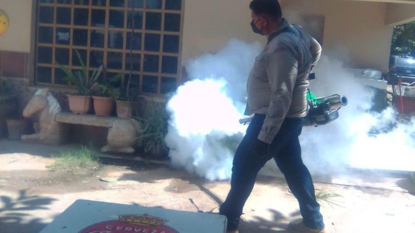 Colonia Constitución en Navojoa pide fumigación contra los moscos