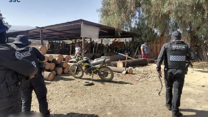 ¿Tala ilegal? Clausuran taller de madera clandestino en la alcaldía Tláhuac, CDMX