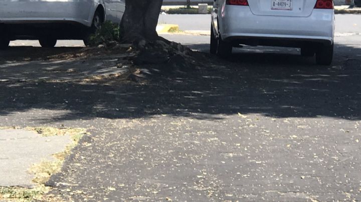 Tras operativo en Coyoacán infraccionan a taxistas por no respetar el Reglamento