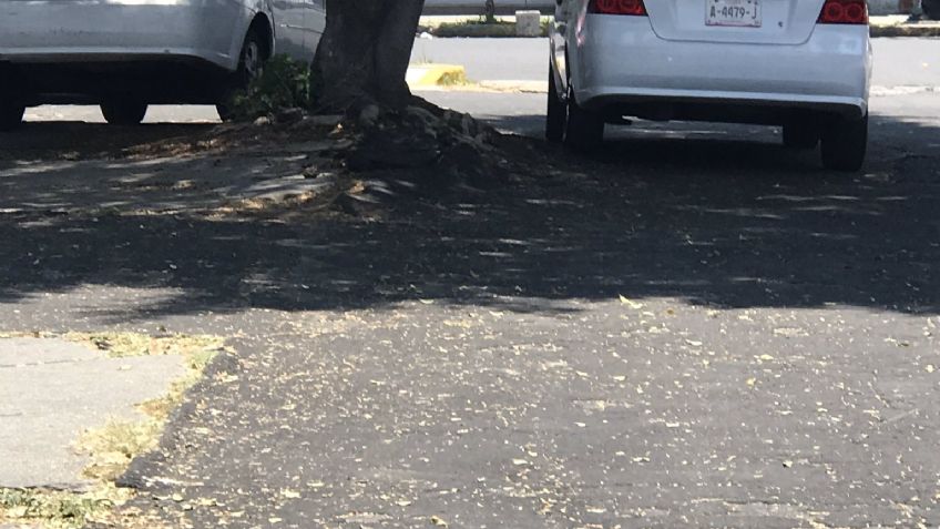 Tras operativo en Coyoacán infraccionan a taxistas por no respetar el Reglamento