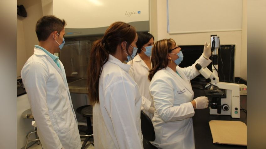 Sus aportaciones a la ciencia dejan huella en el Sur de Sonora