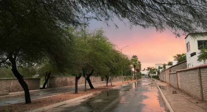 Frente Frío: Tormenta Invernal traerá chubascos y caída de nieve a Sonora hoy lunes 13 de febrero