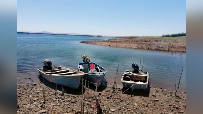 Pescadores emigran del Sur de Sonora por miedo a tiburones y desempleo