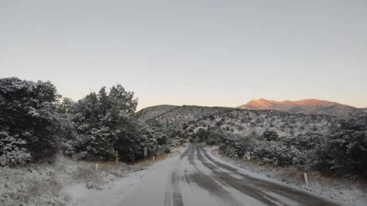 (VIDEO) Tormenta Invernal: Carreteras en Sonora permanecen cerradas tras fuerte caída de nieve