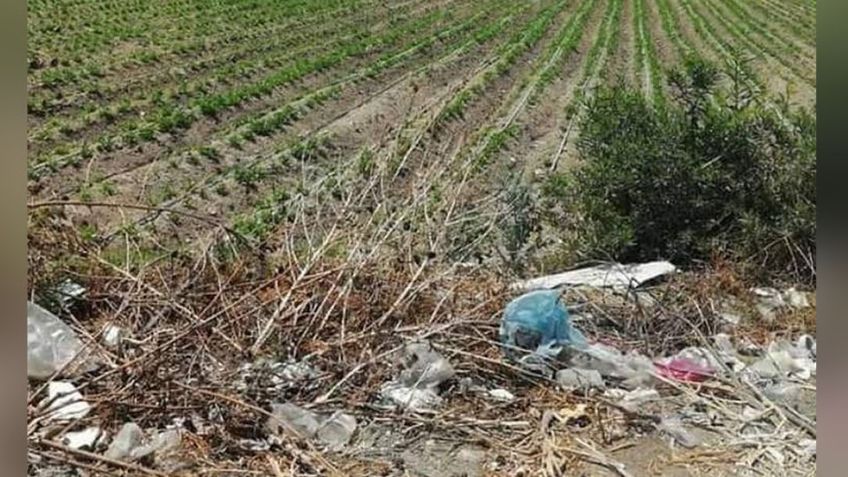 Con impactos de bala y huellas de violencia, encuentran en medio de la maleza el cuerpo de un hombre