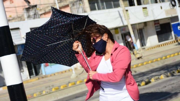 Alerta en la Ciudad de México: Fuertes vientos provocan estragos en la capital