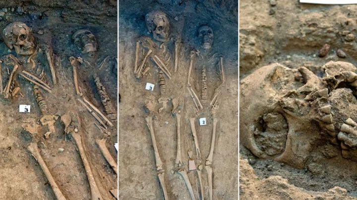 Increíble hallazgo: Descubren cementerio virreinal en el Bosque de Chapultepec