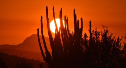 ¿Lloverá en Sonora hoy jueves 16 de febrero? Conagua te comparte el pronóstico del clima