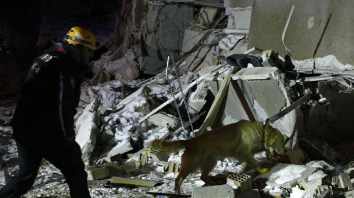 Terremoto en Turquía y Siria: Confirman más de 41 mil muertos a más de una semana del siniestro