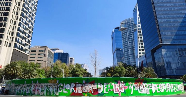 Ahuehuete en Paseo de la Reforma