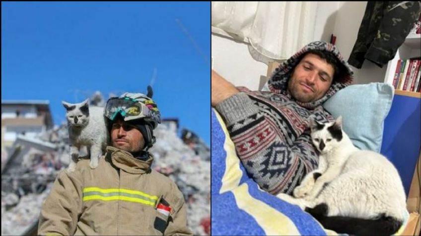 VIDEO: Gato es rescatado de los escombros en Turquía; se niega a separarse de su salvador
