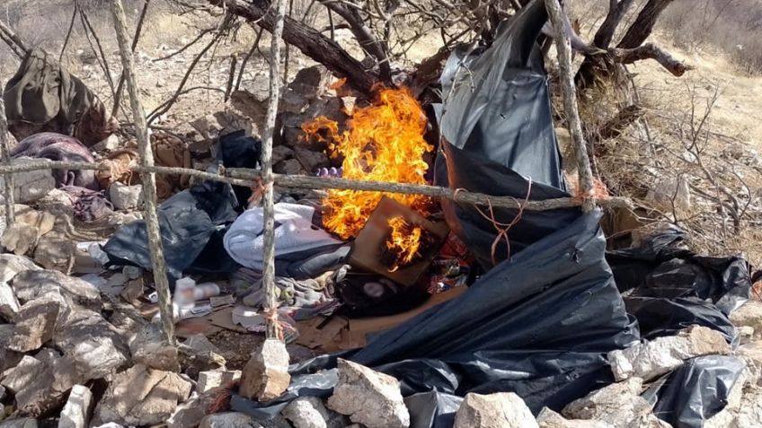 Destruyen en Sonora 11 campamentos del crimen organizado; hay dos hombres detenidos