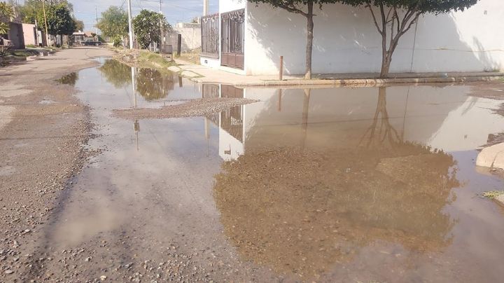 Ciudad Obregón: Aguas negras invaden ahora en la colonia Las Haciendas