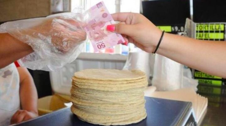 ¿Dieta forzosa? Kilo de tortilla 'dispara' su precio; así se vende en la CDMX y otras ciudades
