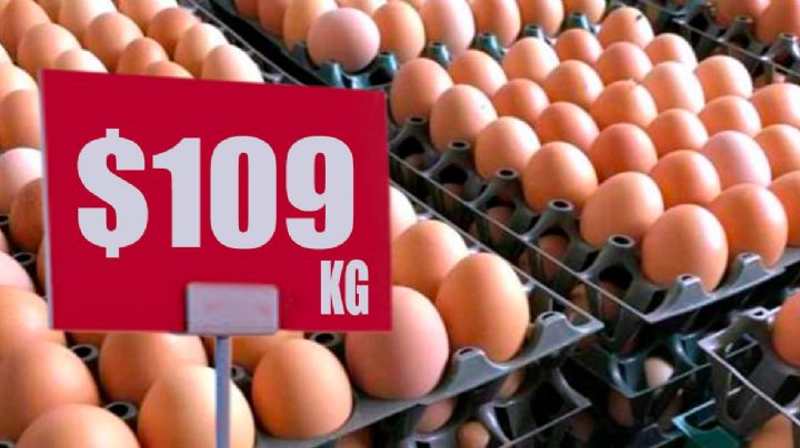 Toma nota: Estos son los lugares en México donde el kilo de huevo se oferta más barato