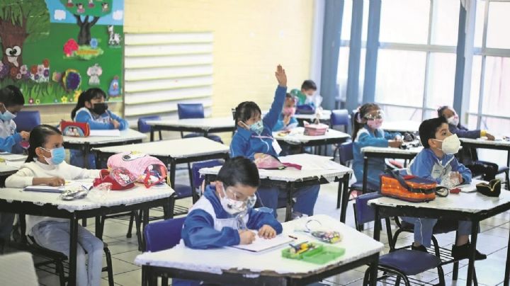 ¿Habrá descanso este 24 de febrero? esto dice el Calendario Escolar de la SEP