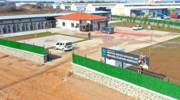 Centro de rehabilitación con el nombre de 'Proteo'