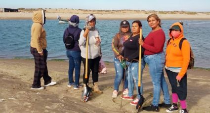 Colectivo de búsqueda encuentra posibles restos humanos en Huatabampo